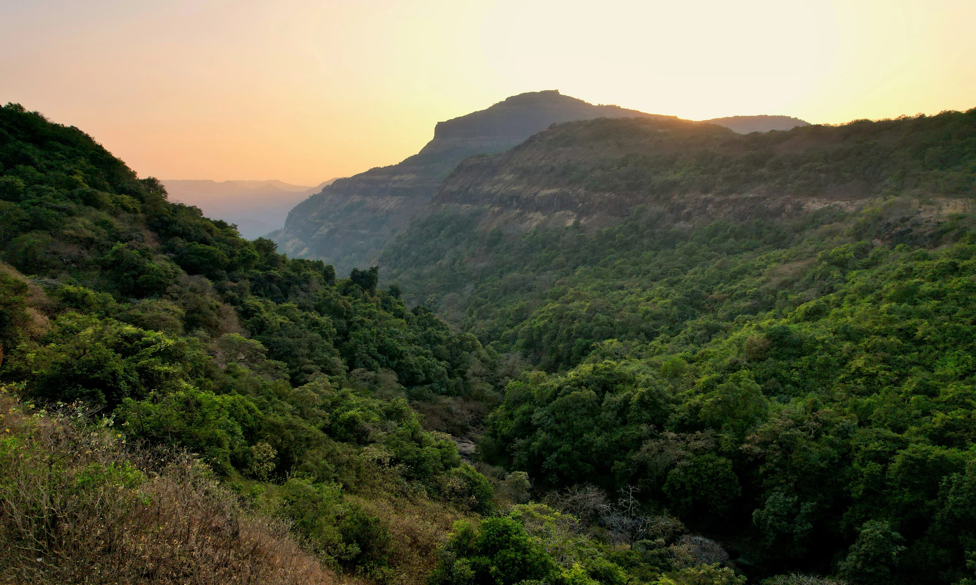 Harihargad Fort Trek Sahyadri – Fort Trekking Maharashtra